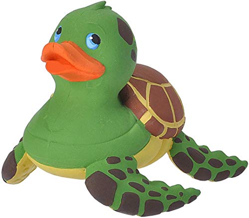 Sea Turtle