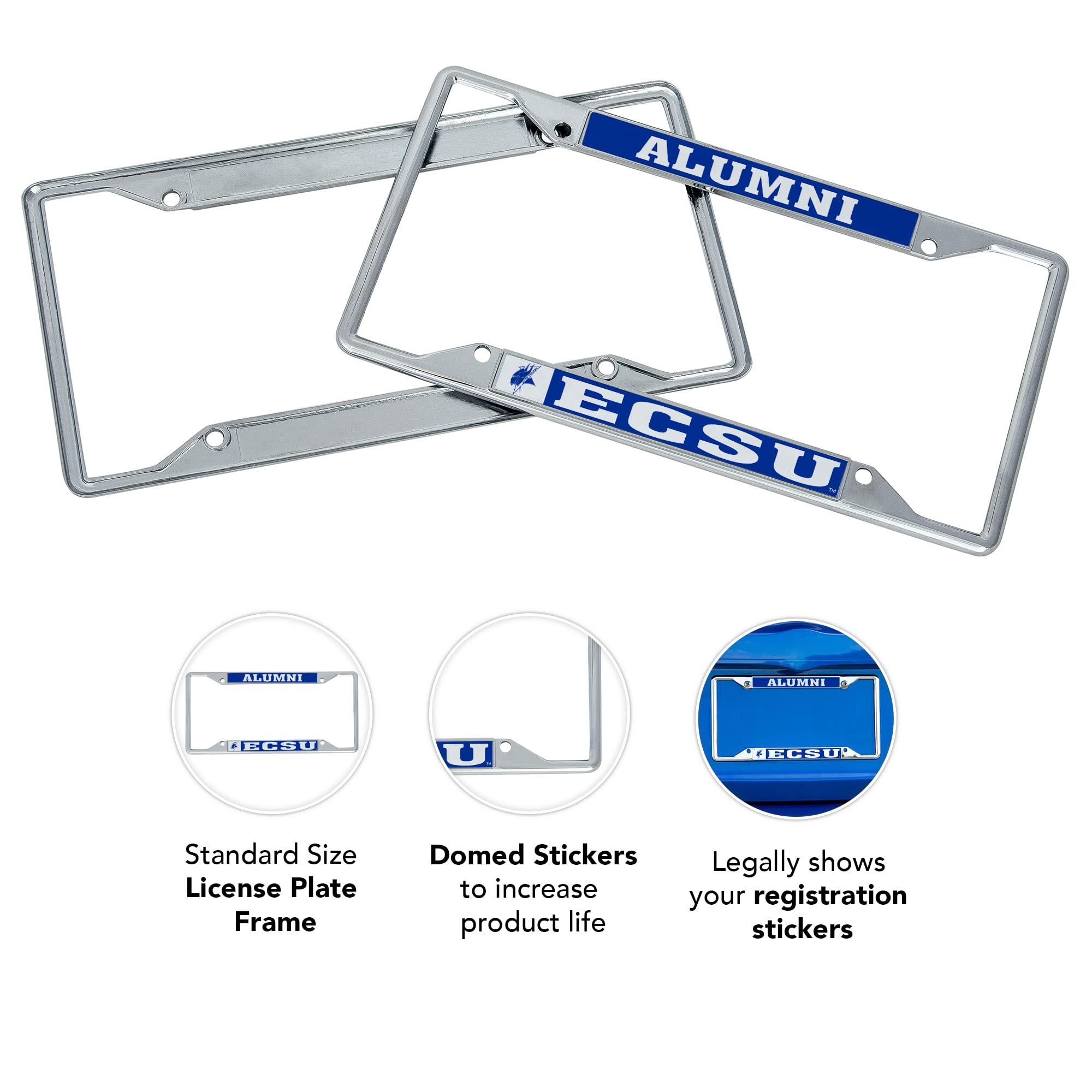 Elizabeth City State University Vikings Metal License Plate Frame - Desert Cactus Design Car Accessory for Alumni (Front/Rear Mount) - Perfect for Tailgating, Alumni Events & School Pride Display