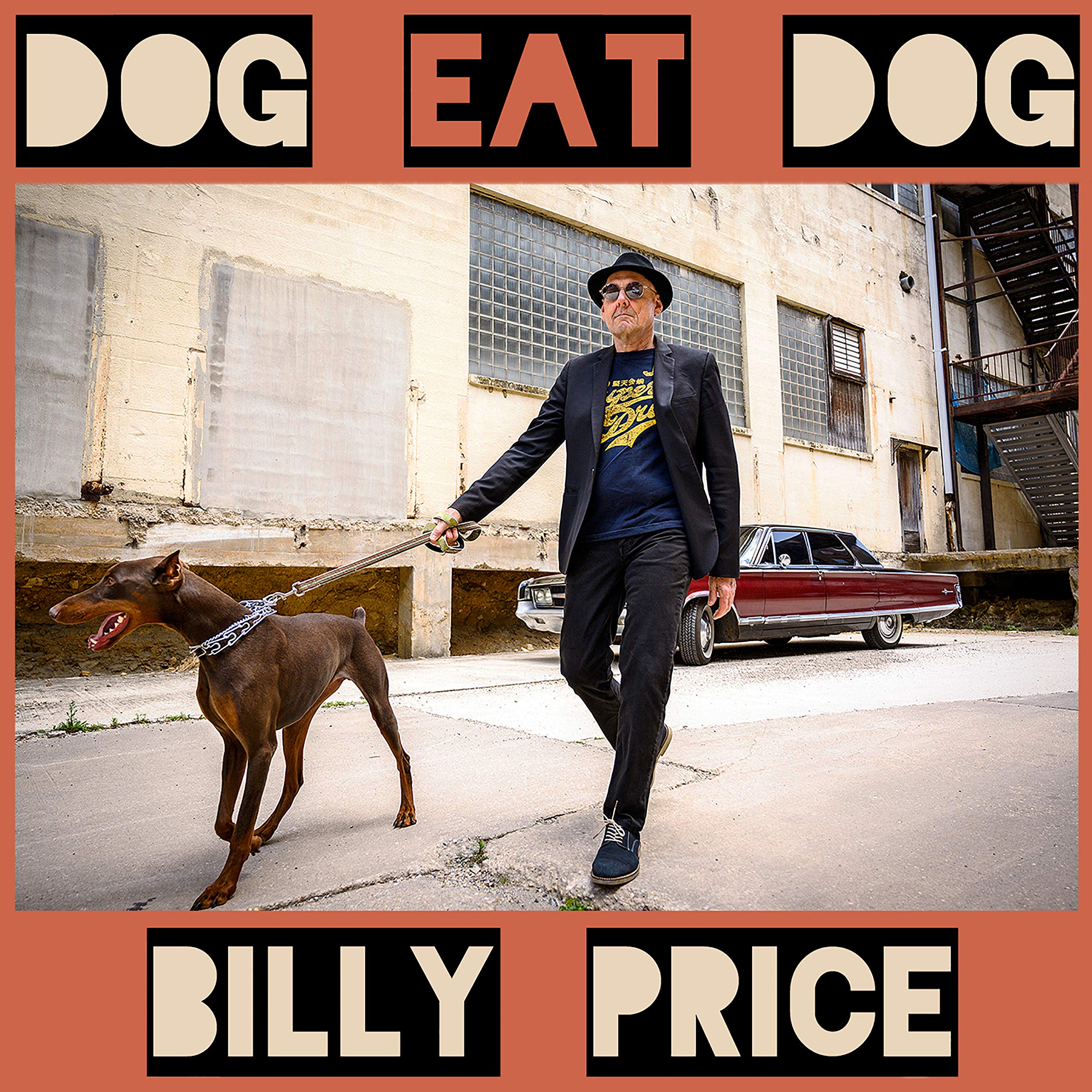 Dog Eat Dog - Premium Dog Food for Active & Energetic Dogs | High Protein Kibble for All Breeds & Ages | Perfect for Training, Outdoor Adventures & Daily Nutrition
