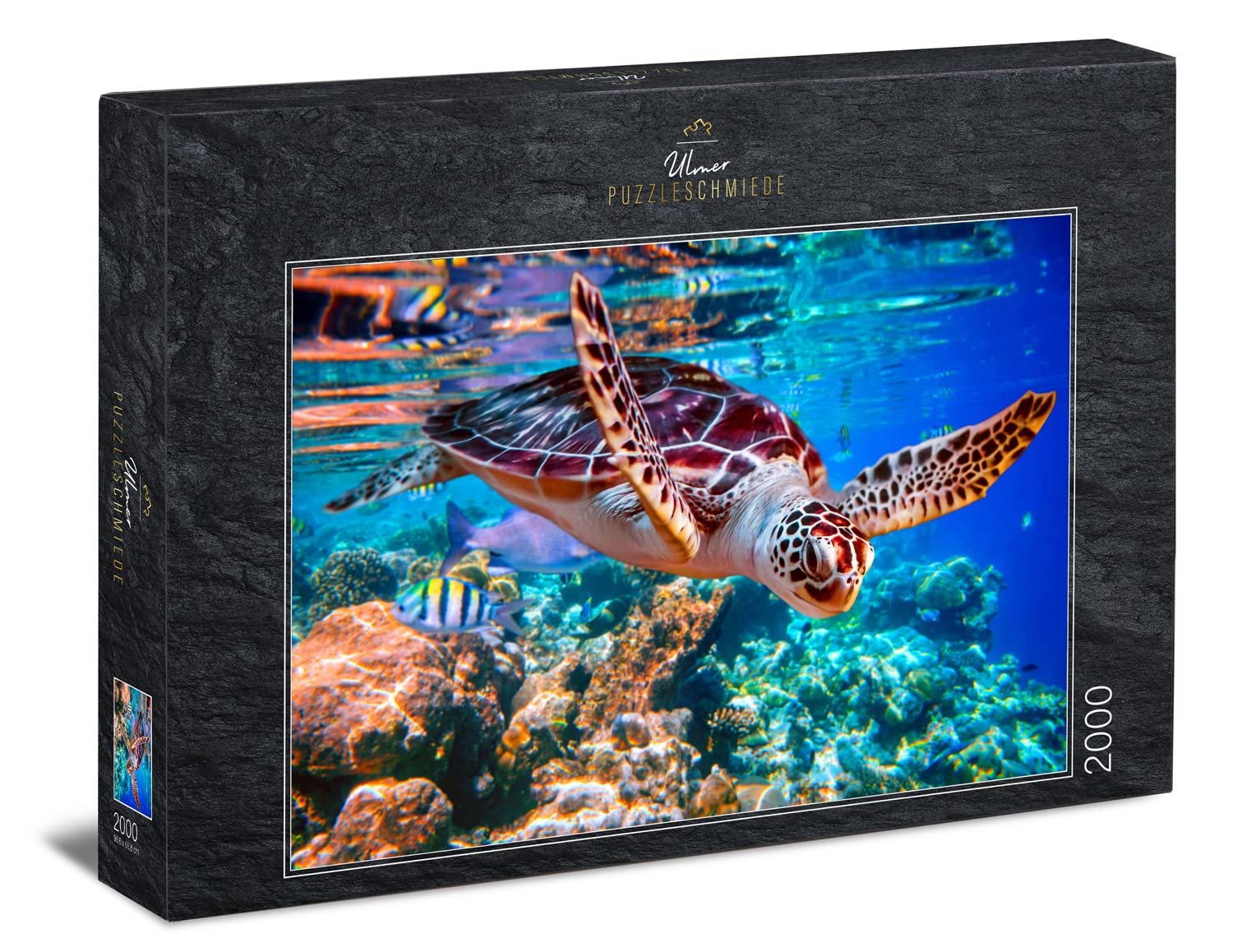 2000 Piece Sea Turtle Jigsaw Puzzle - Underwater Ocean Life Puzzle with Glowing Details - Perfect for Relaxation, Family Bonding & Home Decor