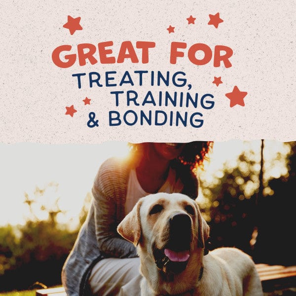 Natural Balance Crunchy Biscuits with Real Salmon Recipe Dog Treats, 14oz – Healthy Snacks for Small & Large Dogs – Perfect for Training, Rewards & Dental Care