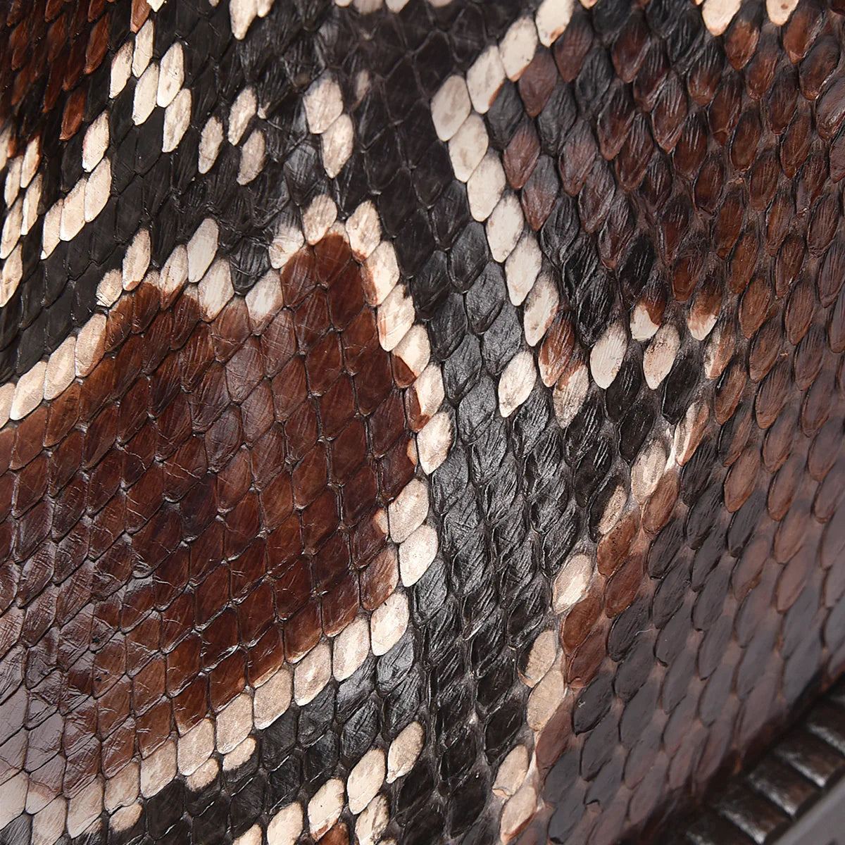 Women's Cuadra Brown Casual Fashion Python Skin Ankle Boots - 6G0PBRS - Perfect for Everyday Wear, Office & Night Out