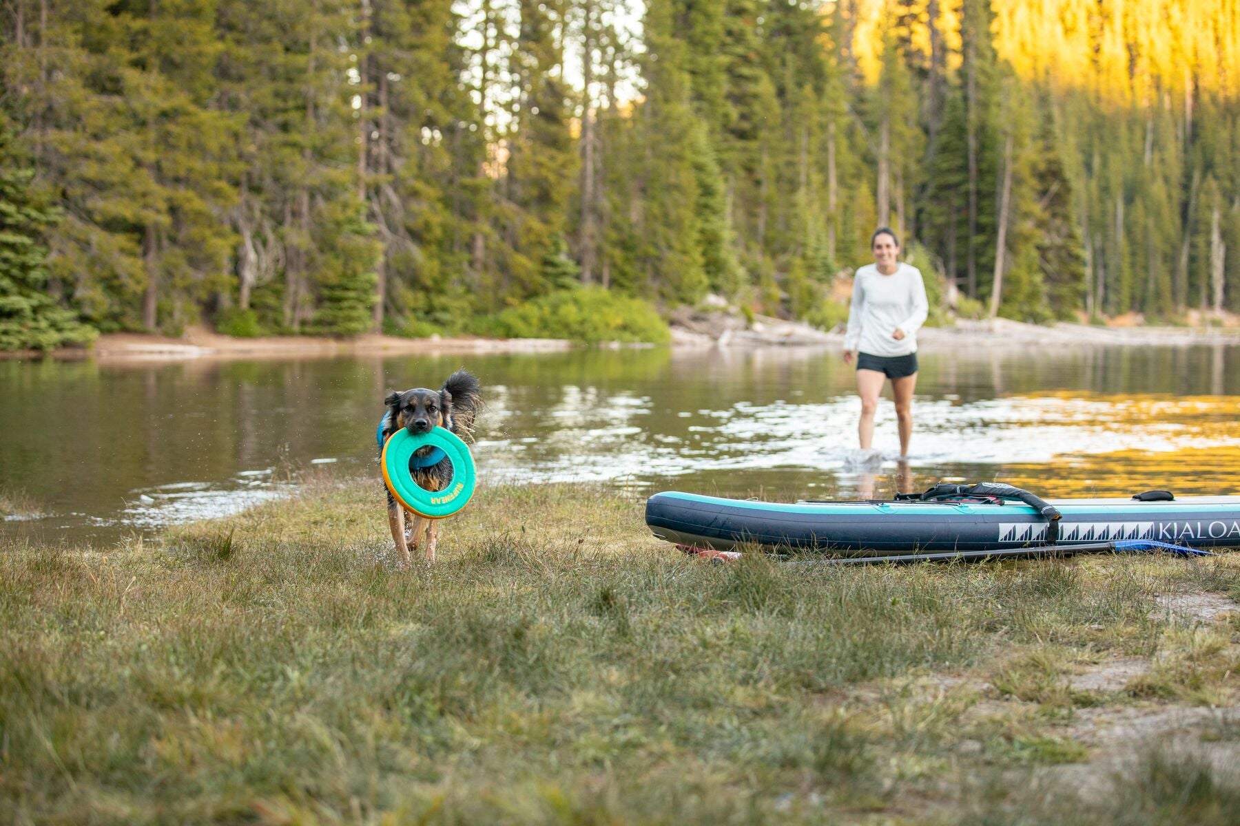 Hydro Plane™ Floating Dog Disc - Blue Aqua (Aurora Teal) - Waterproof Floating Fetch Toy for Dogs - Perfect for Pool, Beach & Lake Play by Ruffwear®