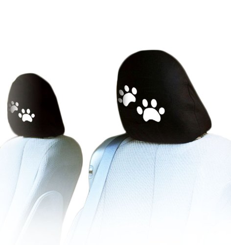 Paws