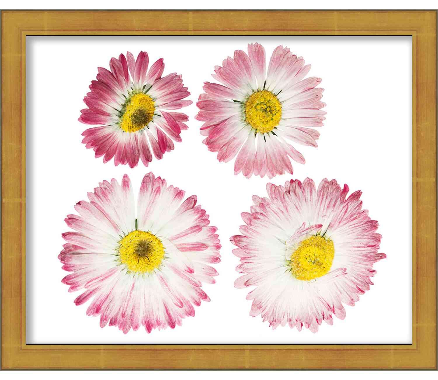 22x12 Shadow Box Gold Brushed Display Frame - 1.25 Inch Deep with Beveled Moulding | Shatter-Resistant Acrylic, Foamboard Backing & Hanging Hardware Included | Perfect for Memorabilia, Photos, and 3D Art Display