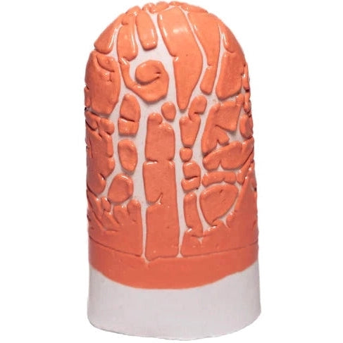 Ritual Glaze △5 6 Crawl Orange Ceramic Vase - Handmade Home Decor for Living Room, Bedroom & Office (Perfect for Floral Arrangements & Modern Interior Design)