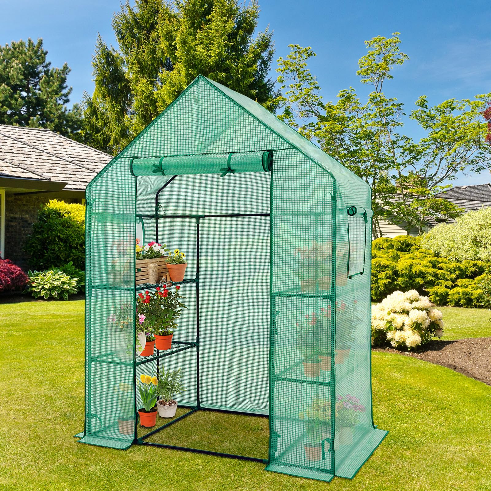 COOS BAY 57x29x77 Inch Walk-in Mini Greenhouse with Windows & Roll-up Door - 3 Tier 4 Shelf Portable Plant Hot House for Indoor/Outdoor Gardening, Seed Starting & Plant Protection (Green)