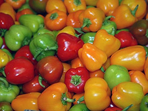 Mini Bell Pepper Seeds Mix - Sweet Colorful Peppers for Pots, Containers & Patio Gardens (10 Seeds) - Perfect for Salads, Snacking & Homegrown Organic Vegetables