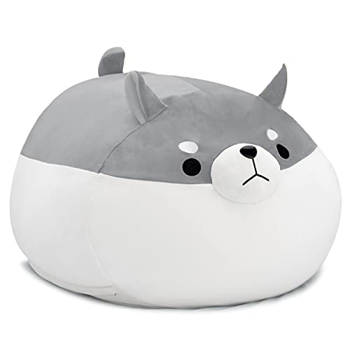 Grey Dog