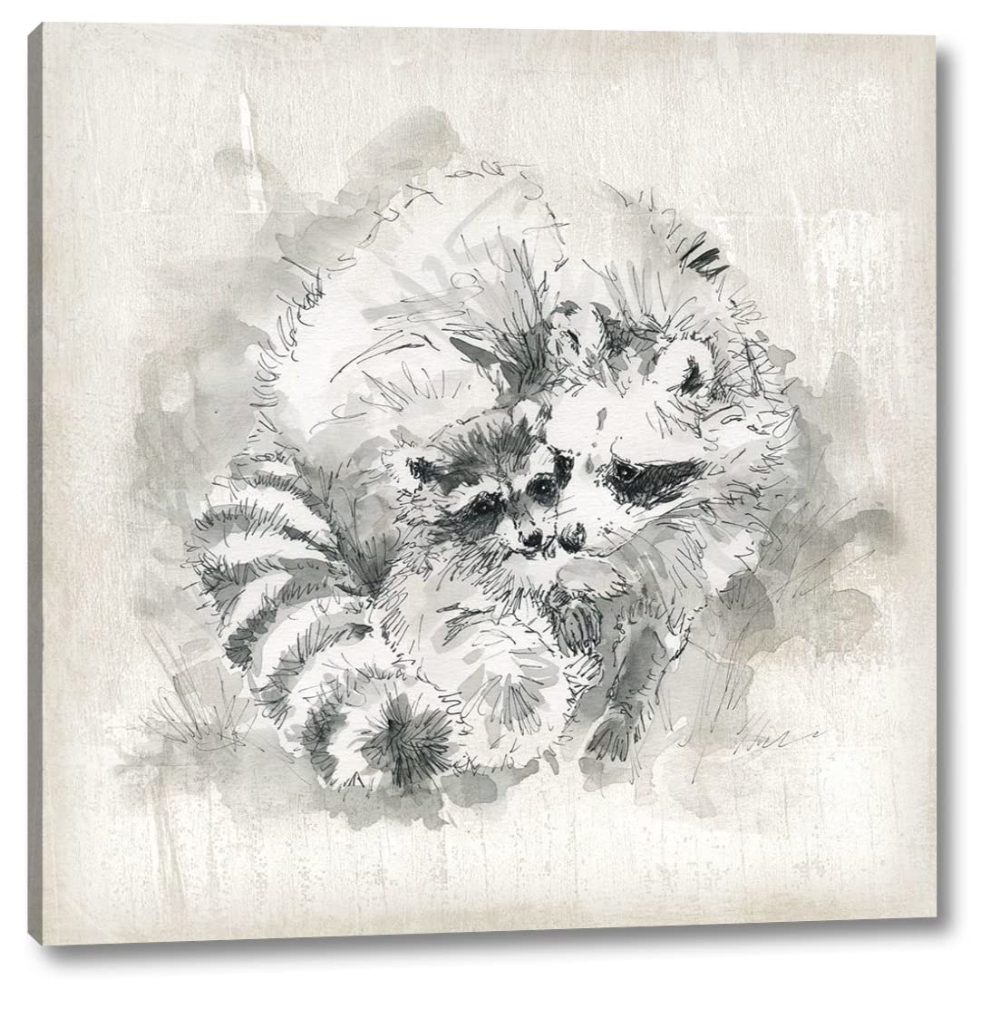 Raccoon Momma and Baby Canvas Art Print by Carol Robinson - 24x24 Inch Gallery Wrapped Wall Decor - Ready to Hang - Perfect for Living Room, Nursery & Wildlife Themed Spaces