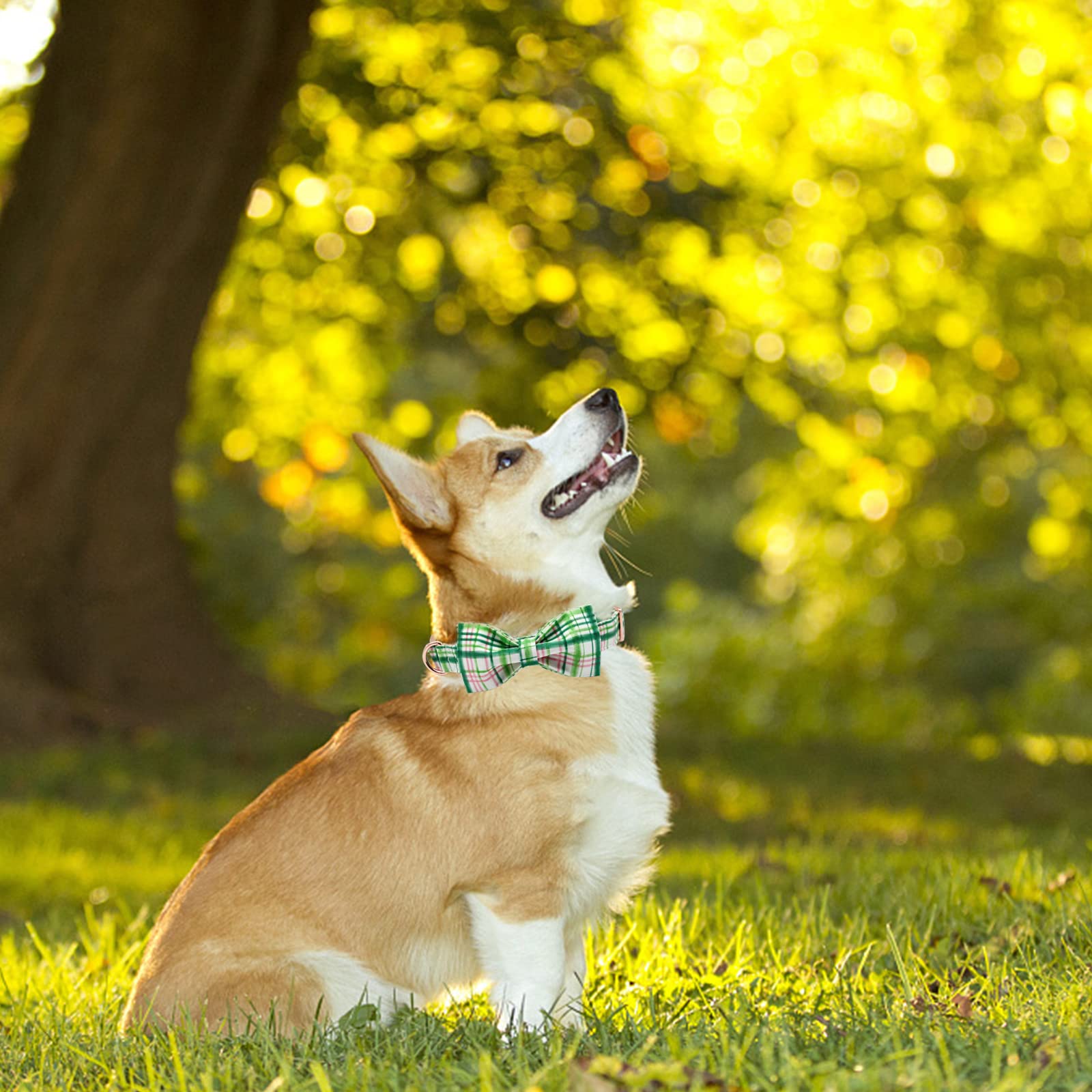 Elegant Bow Dog Collar with Adjustable Pink & Green Plaid Design - Cute Pet Collar for Small, Medium & Large Dogs | Perfect for Daily Walks, Pet Photos & Special Occasions