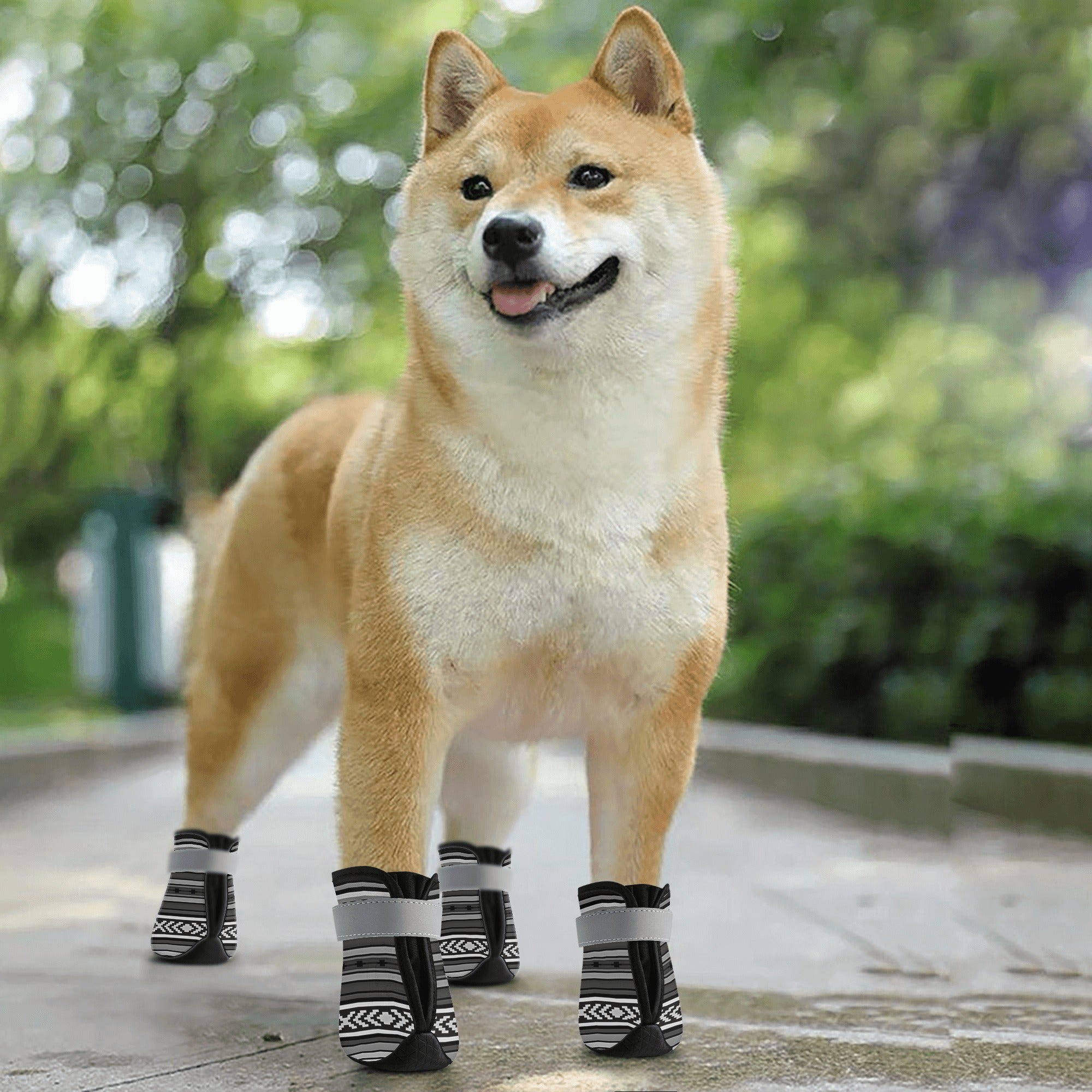 Non-Slip Dog Socks Booties for Paw Protection - Anti-Skid Pet Shoes with Sahara Print in Multiple Sizes (Gray) - Perfect for Indoor, Outdoor & Winter Walks