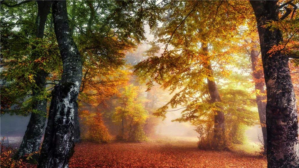 5D DIY Diamond Painting Kit for Adults - Full Drill Diamond Art Sets, Paint by Numbers for Beginners & Adults, 36x64IN (Forest Leaves) - Perfect for Home Decor, Stress Relief & Creative Gifts