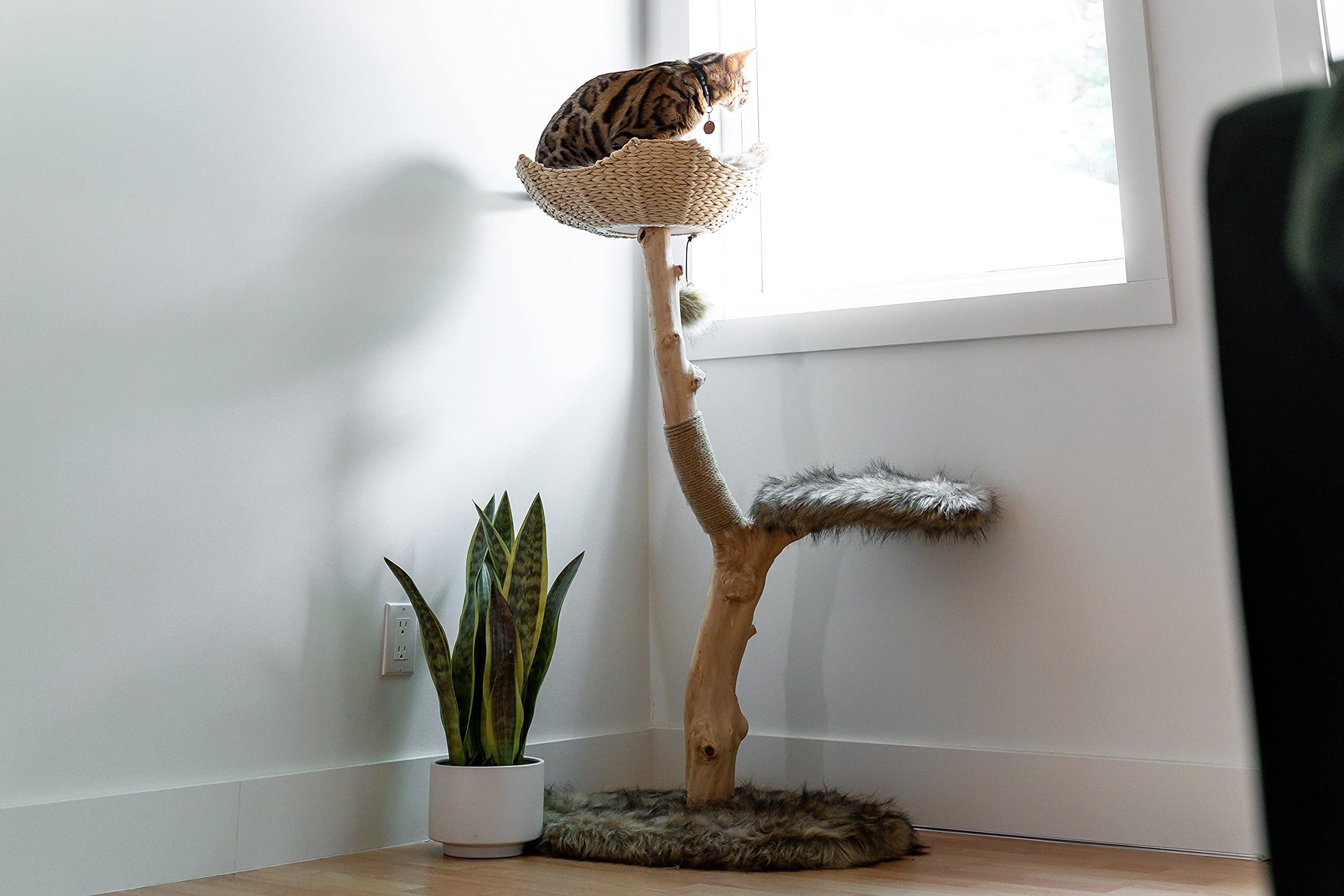 Modern Wooden Cat Tree Tower - Single Branch Cat Condo & Climbing Furniture for Indoor Cats - Perfect Cat Lover Gift by MAU LIFESTYLE (Brown) - Ideal for Small Spaces & Playful Kittens