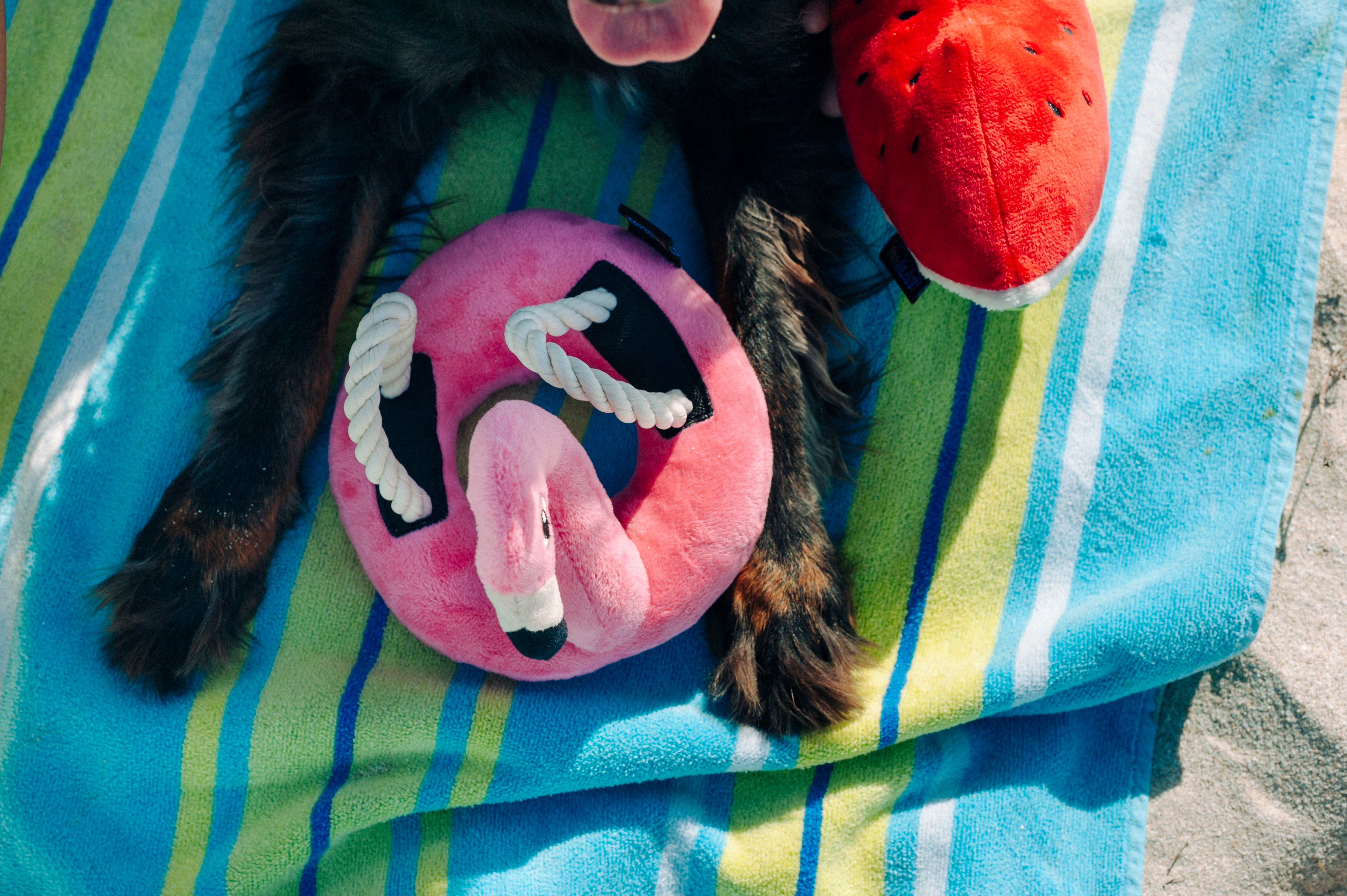 Tropical Paradise™ Watermelon Dog Plush Toy - Durable & Fun Chew Toy for Small & Large Dogs | Perfect for Playtime, Training & Cuddling | Pet P.L.A.Y.