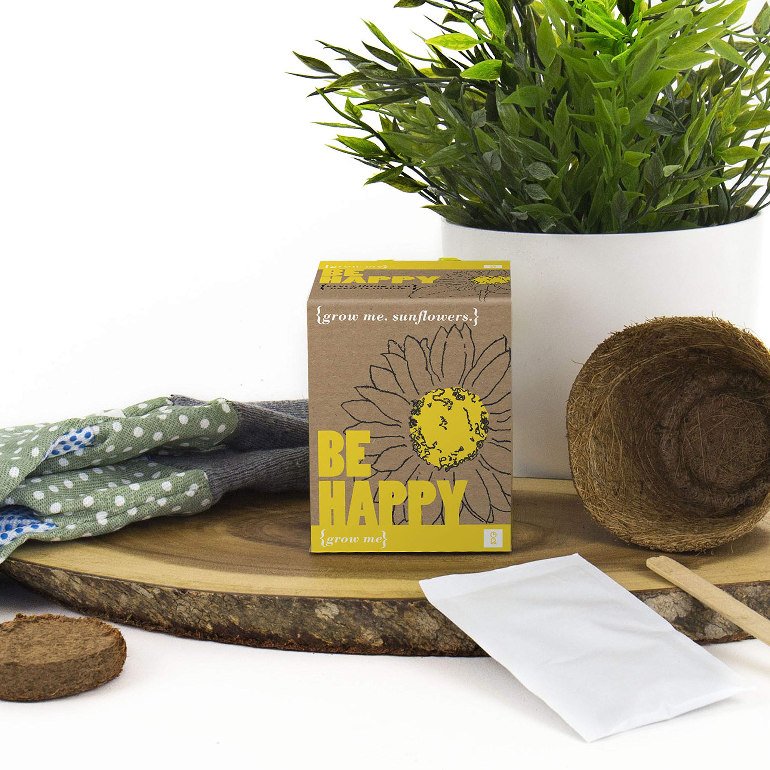 Gift Republic Grow Me Be Happy Gift Box - Unique Plant Growing Kit for Indoor Gardening, Perfect Gift for Plant Lovers, Birthday & Housewarming Presents - Enjoy Home Gardening & Relaxation