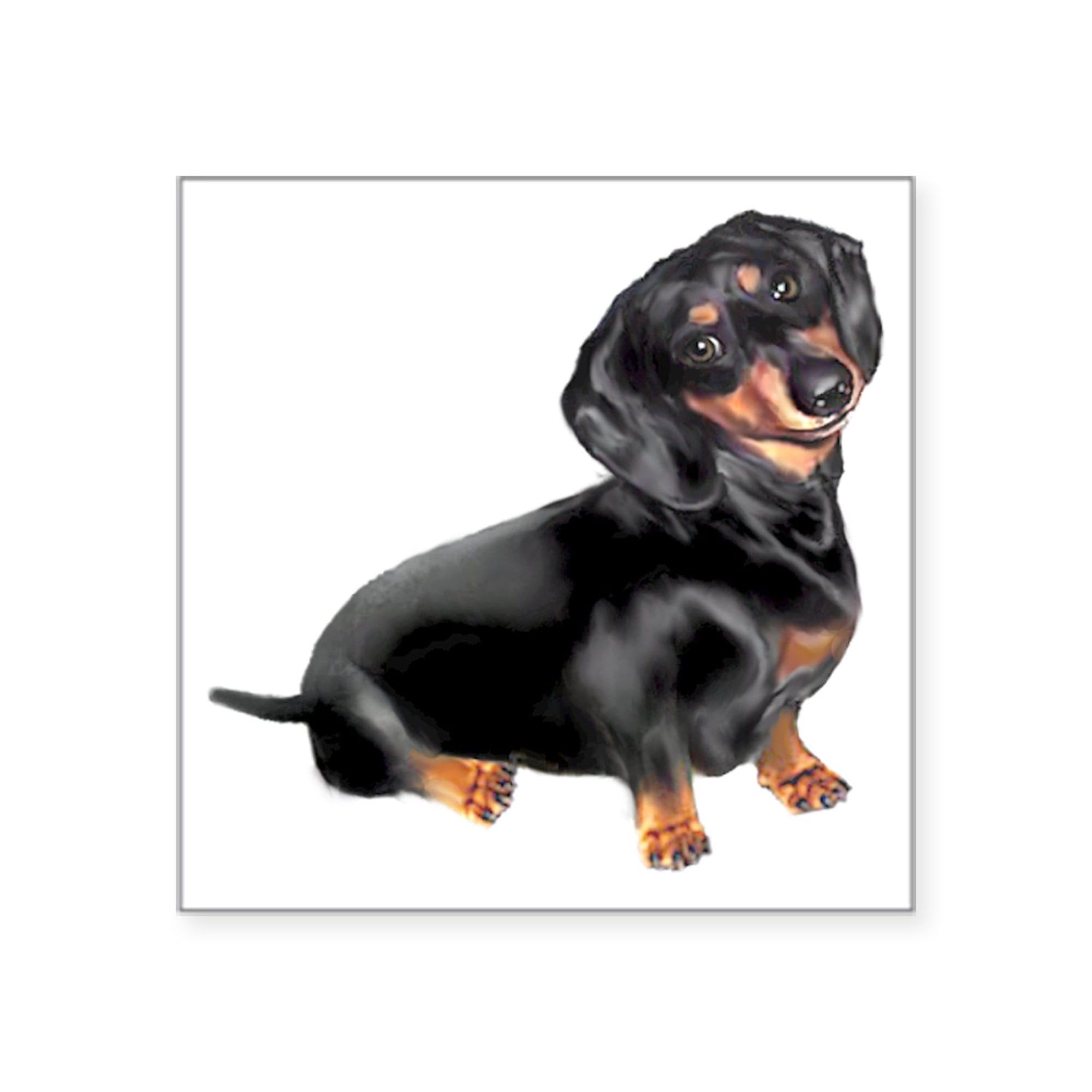 Black Tan Dachshund Square Sticker 3x3 Inch - Durable Car Bumper Decal for Vehicles, Laptops & Water Bottles - Funny Dog Lover Gift for Pet Owners
