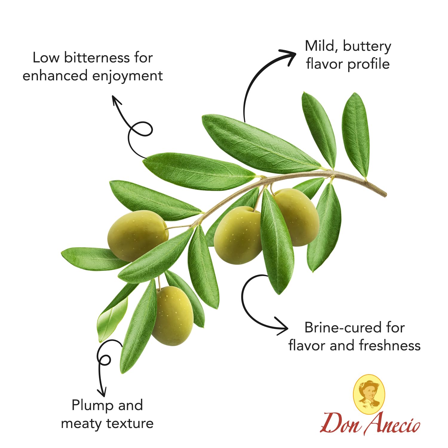 Don Anecio Premium Pitted Queen Green Olives - 29.5 Oz Jar, Gourmet Spanish Gordal Olives, Hand-Picked Jumbo Size, Authentic Mediterranean Delight - Perfect for Salads, Charcuterie Boards & Tapas