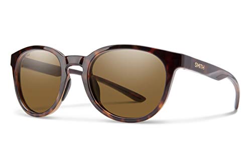 Tortoise / Polarized Brown