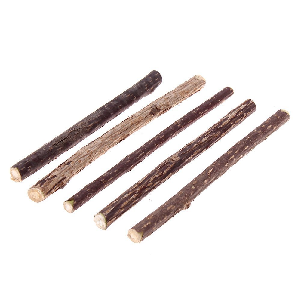 5 PCS Cat Teeth Grinding Chew Toys with Catnip - Dental Care Molar Snack Sticks for Kittens & Adult Cats - Perfect for Teething, Stress Relief and Playtime