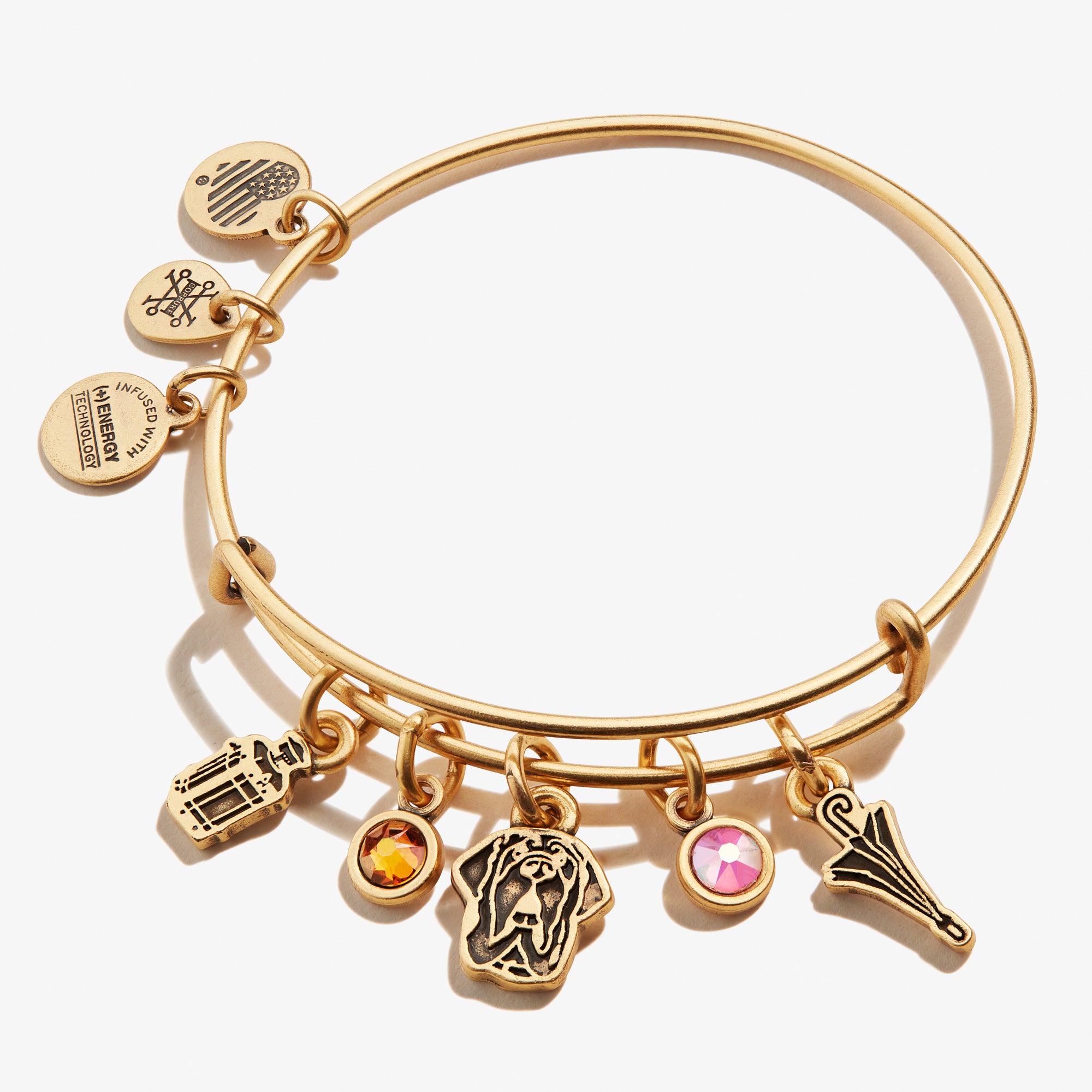 Harry Potter™ Hagrid Multi Charm Bangle Bracelet - Official Wizarding World Jewelry for Fans & Collectors - Perfect for Cosplay, Gifts, and Everyday Wear