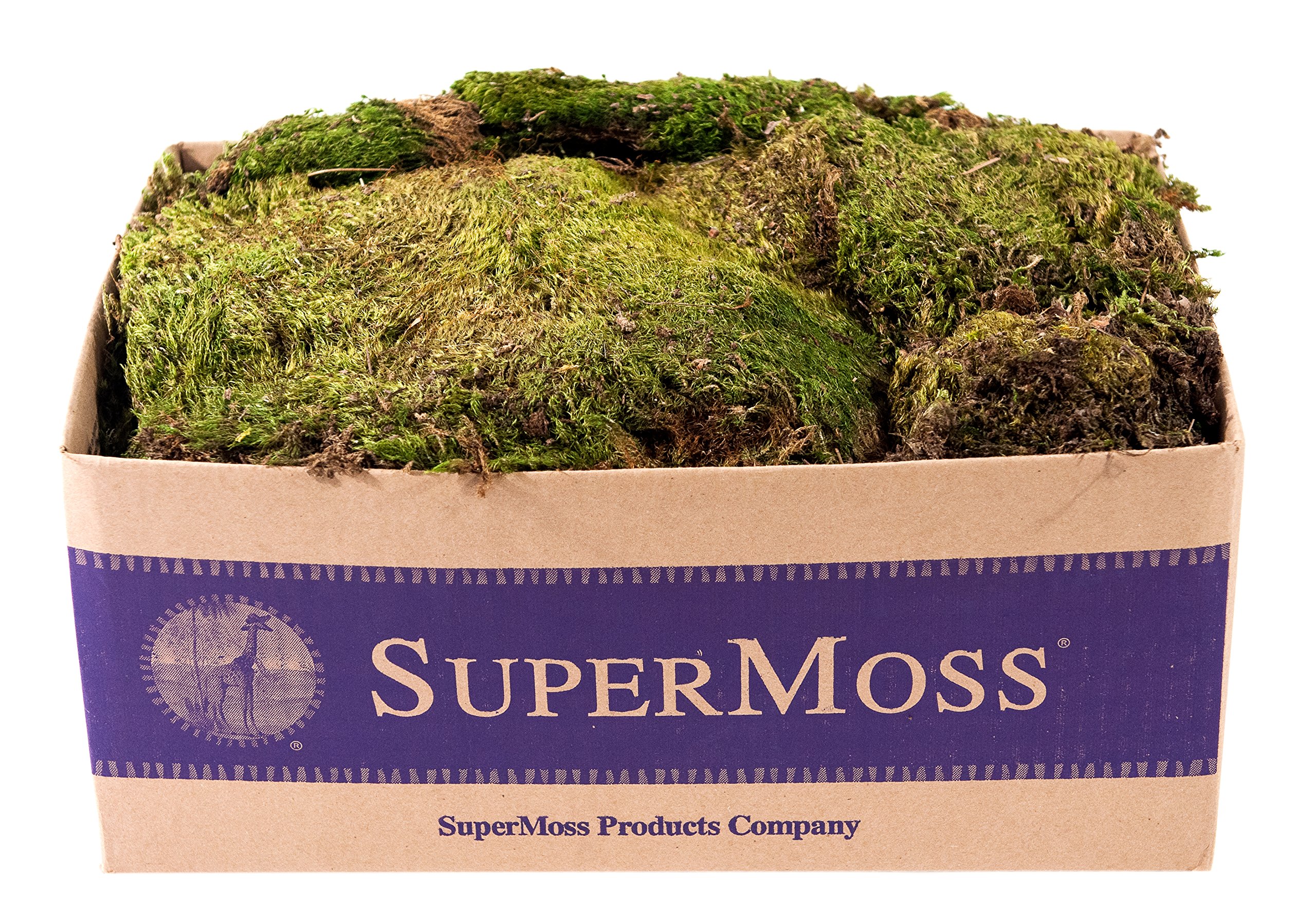 SuperMoss 3 lb Bulk Natural Dried Mood Moss for Terrariums, Floral Arrangements & Home Decor - Preserved Green Moss for DIY Crafts, Fairy Gardens & Table Centerpieces