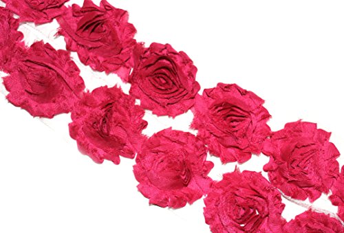 Fuschia