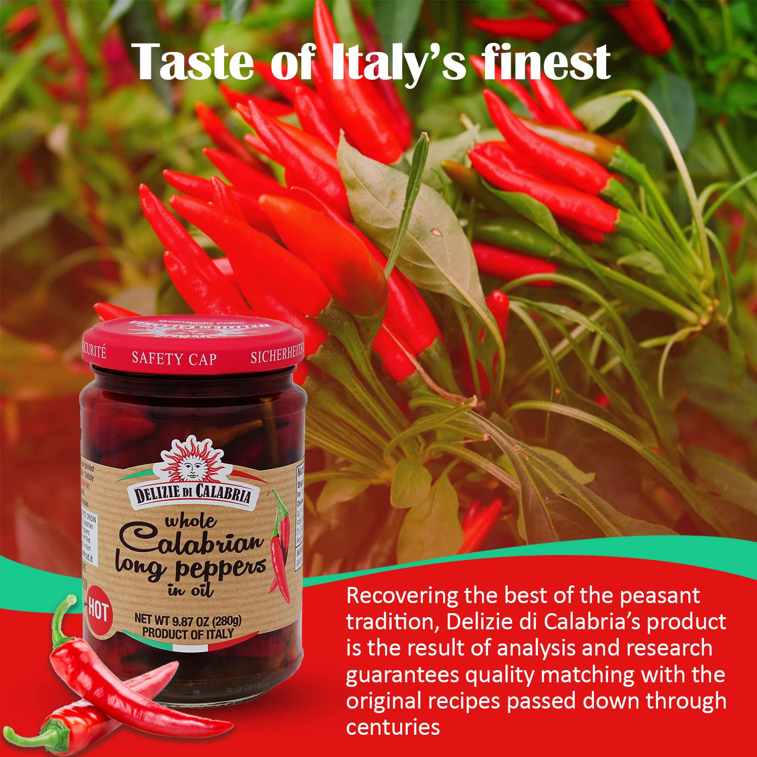 Delizie Di Calabria Whole Calabrian Long Peppers in Oil - Authentic Italian Hot Chili Peppers in White Wine Vinegar & Sunflower Oil - Gourmet Seasoning for Pizza, Pasta, Salads & Sandwiches - Perfect for Italian Recipes, Meal Prep & Charcuterie Boards (9.87 oz)