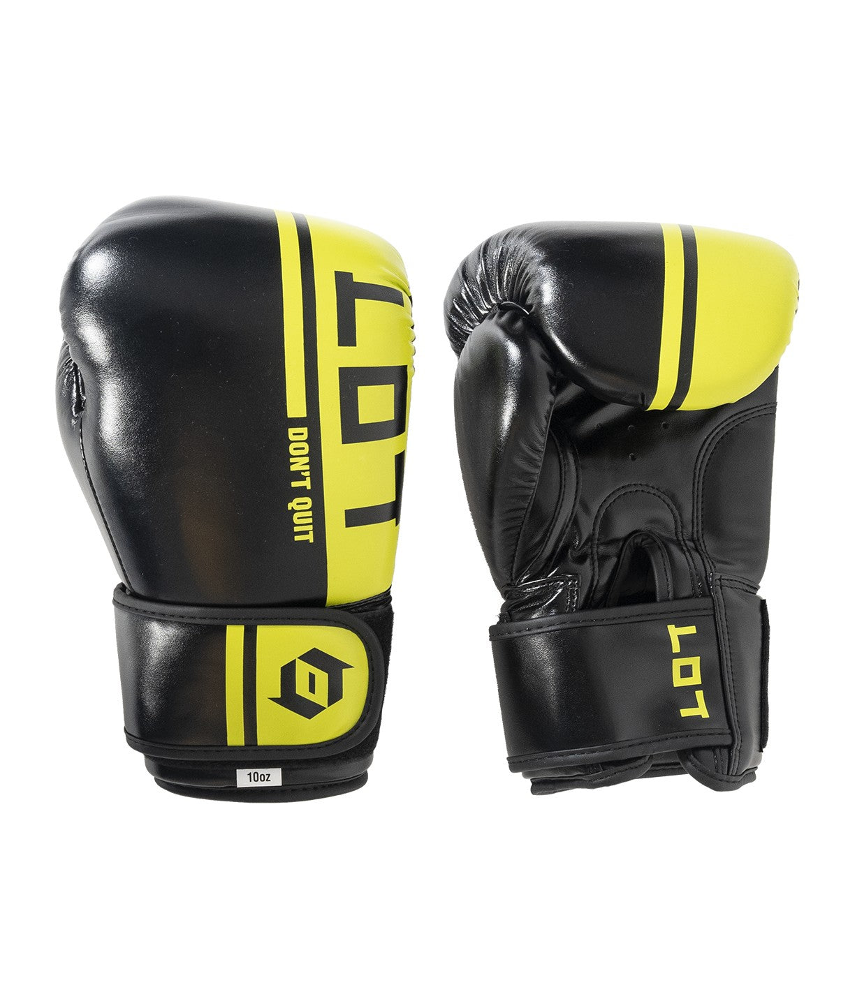 Premium 10oz Boxing Gloves for Men & Women - Professional Training, Sparring, MMA, Kickboxing - Ideal for Home Gym, Boxing Classes & Fitness Workouts