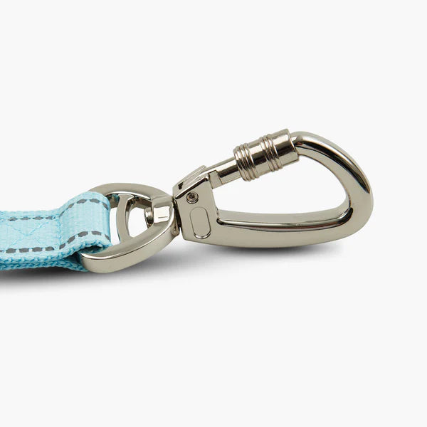 Premium Classic Dog Leash - Sky Blue | Durable & Comfortable Dog Walking Lead for Small, Medium & Large Dogs | Perfect for Daily Walks, Training & Outdoor Adventures