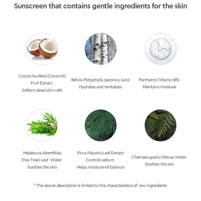 Dewytree Urban Shade Cover & Fit Sunscreen Cushion SPF 50+ PA++++ 14g - Korean Air Cushion Foundation for Oily Skin, Matte Finish, Long Lasting Coverage | Perfect for Daily Sun Protection & Makeup Touch-Ups On The Go