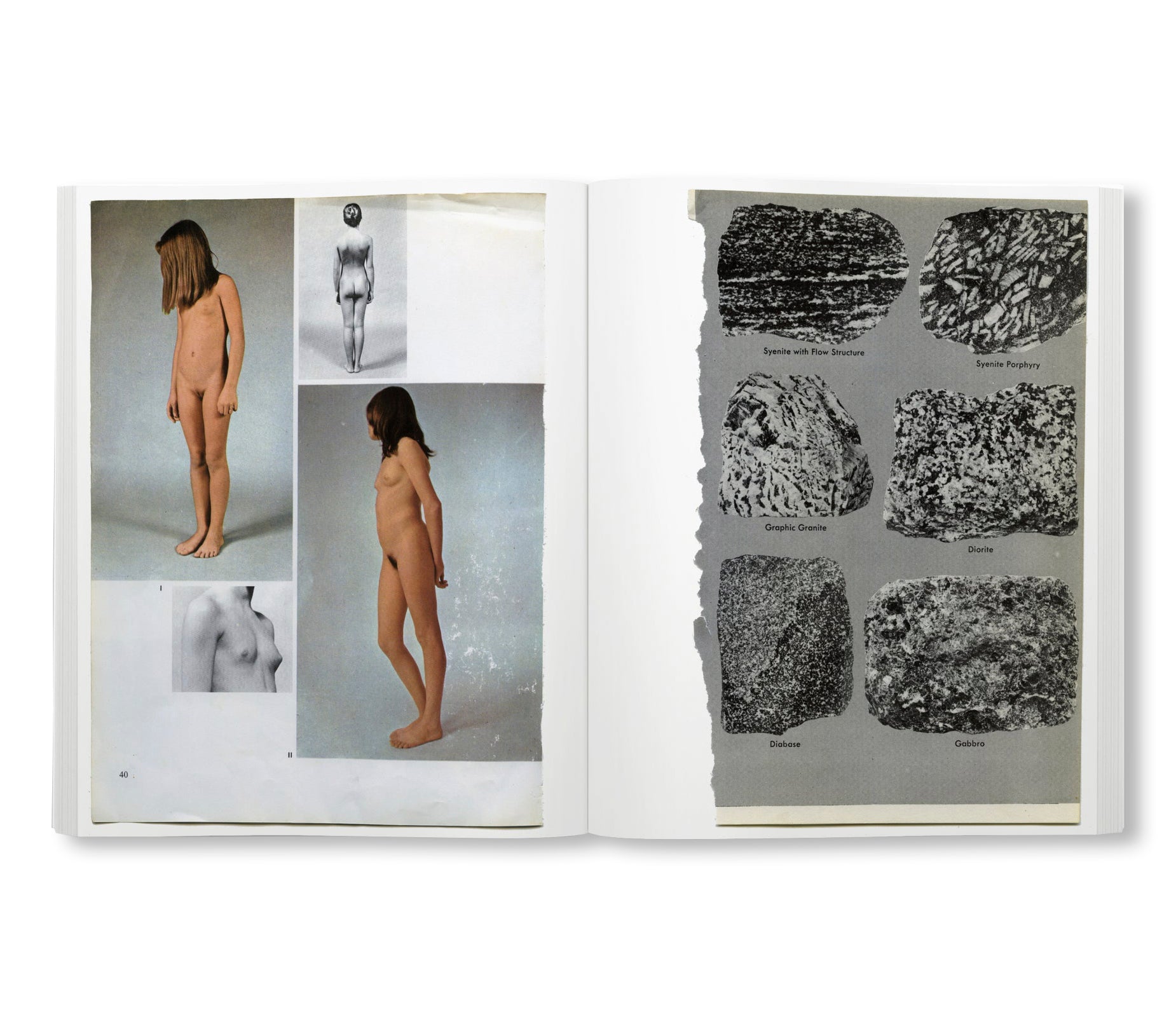 ARRANGEMENTS by Carmen Winant - Contemporary Art Photography Book for Home Decor & Gift Ideas - Perfect for Art Lovers, Coffee Table Display, and Creative Inspiration