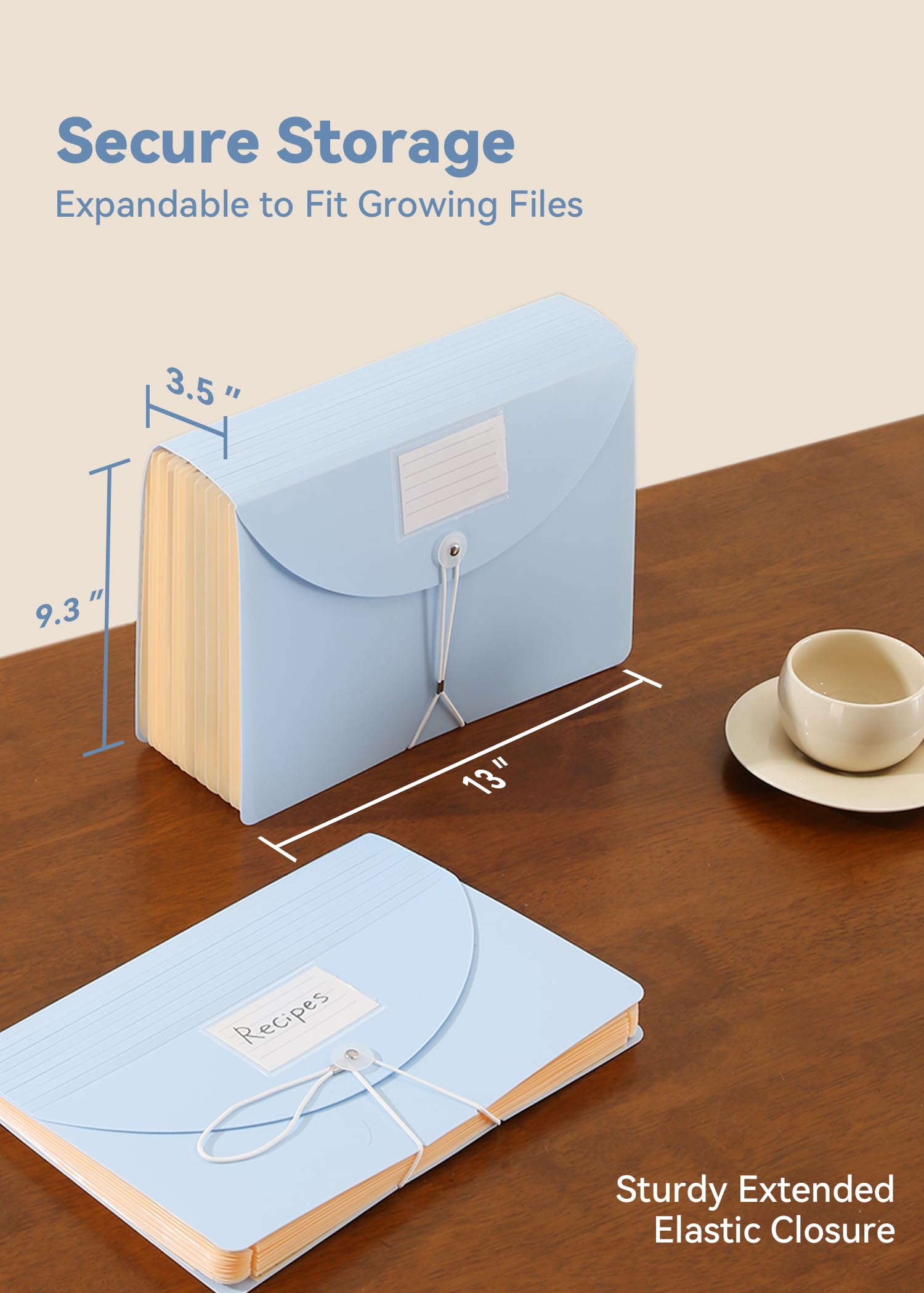 12-Pocket Accordion File Organizer for Monthly Bills, Receipts & Taxes | Expanding File Folder with Large Bright Tabs | Fits Letter/A4 Size | Perfect for Home Office & Small Business Organization (Blue)