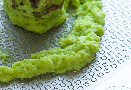 Premium Stainless Steel Wasabi Grater - Professional Grade Hagane Zame PRO for Wasabi, Ginger, Garlic, Fruits & Vegetables - Creates Creamy Texture - 10.3
