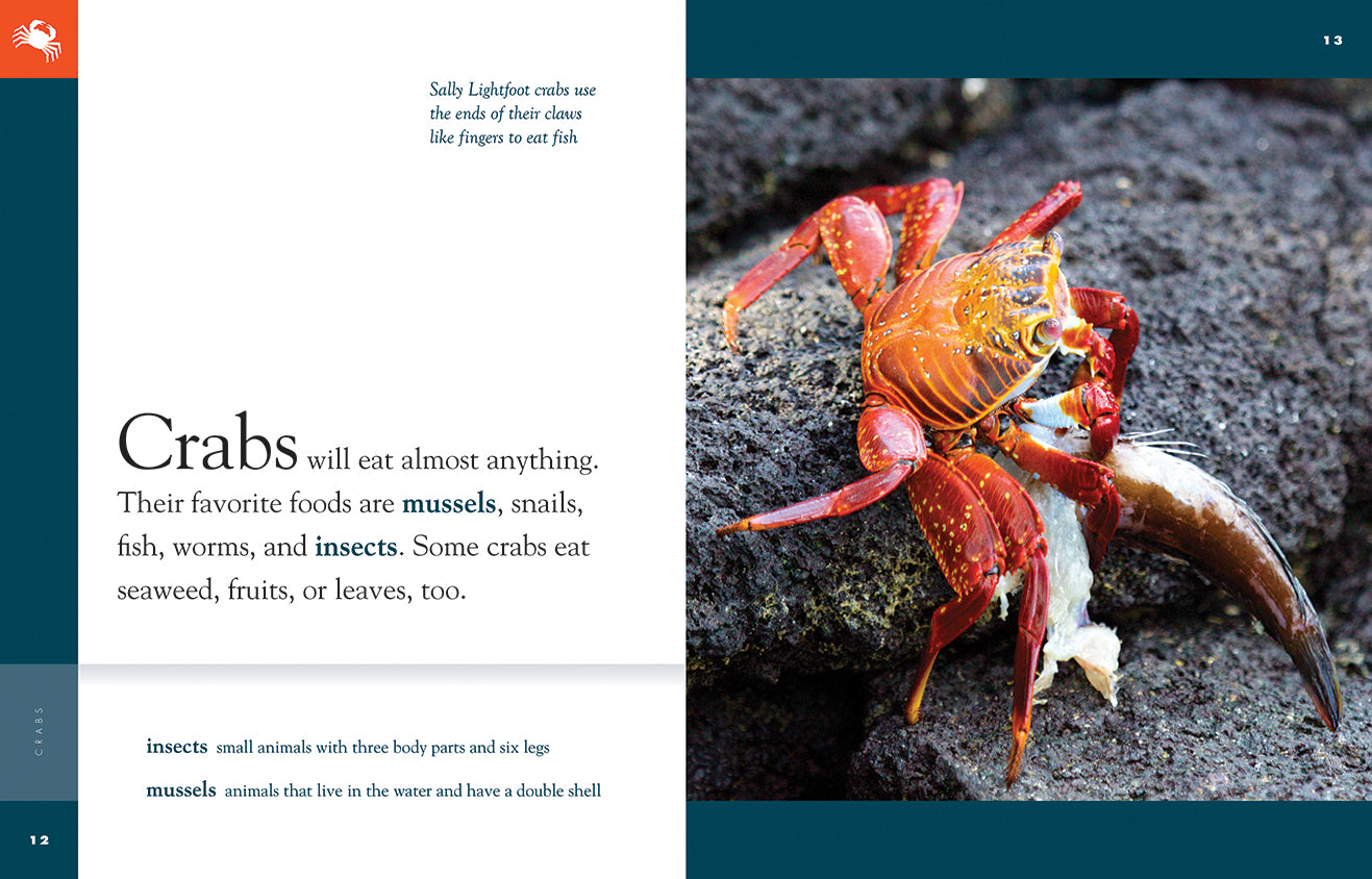 Amazing Animals (2014) - Crabs: Educational Wildlife Documentary for Kids & Nature Lovers | Perfect for Classroom Learning & Family Movie Nights