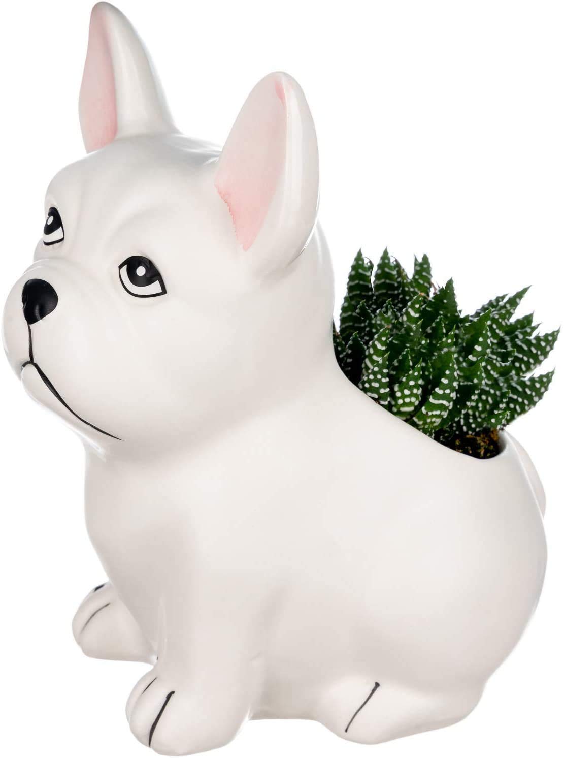 Cute Bulldog Succulent Planter - Ceramic Animal Flower Pot for Indoor Plants | Home Office Desk Decor, Gift for Plant Lovers