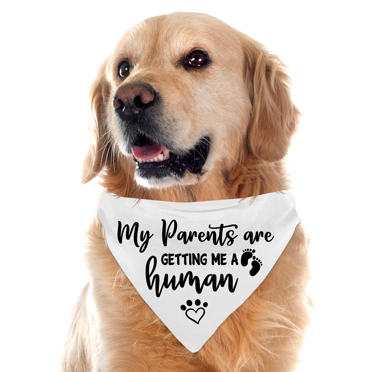 Pregnancy Announcement Dog Bandana - Gender Reveal Photo Prop Pet Scarf for Dogs - Funny Pet Accessories for Dog Lovers (Pack of 2) - Perfect for Gender Reveal Parties, Maternity Photoshoots & Pet Celebrations
