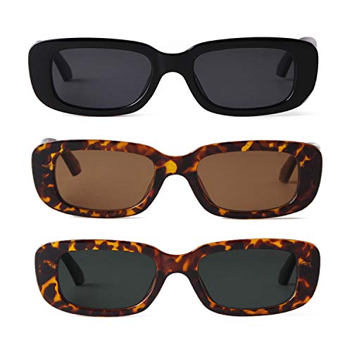 Black+tortoise 1+tortoise 2