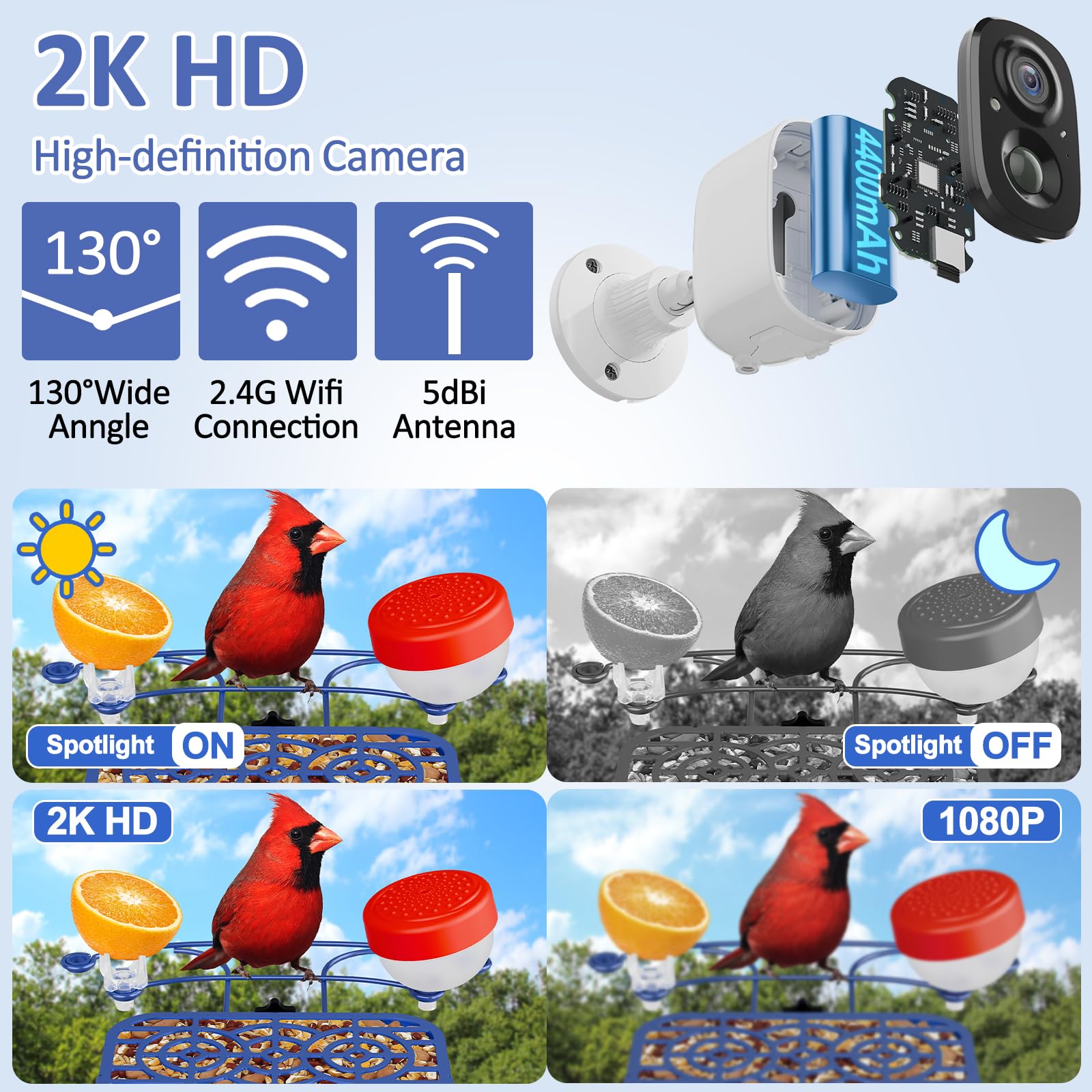 Smart Bird Feeder with Camera - 2K HD Wildlife Bird Feeder with AI Recognition for 11,000+ Species | Live Video Streaming & Motion Detection | Perfect Outdoor Bird Watching Gift for Nature Lovers (Backyard, Garden, Patio Use)