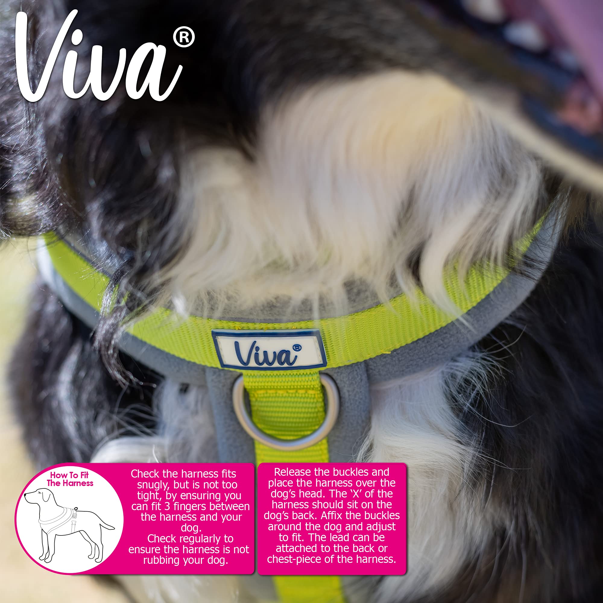 Ancol Viva Padded Strong Dog Chest Harness - Medium Size, Lime Green - Comfortable & Secure Walking Harness for Medium Dogs - Perfect for Outdoor Adventures, Training & Daily Walks