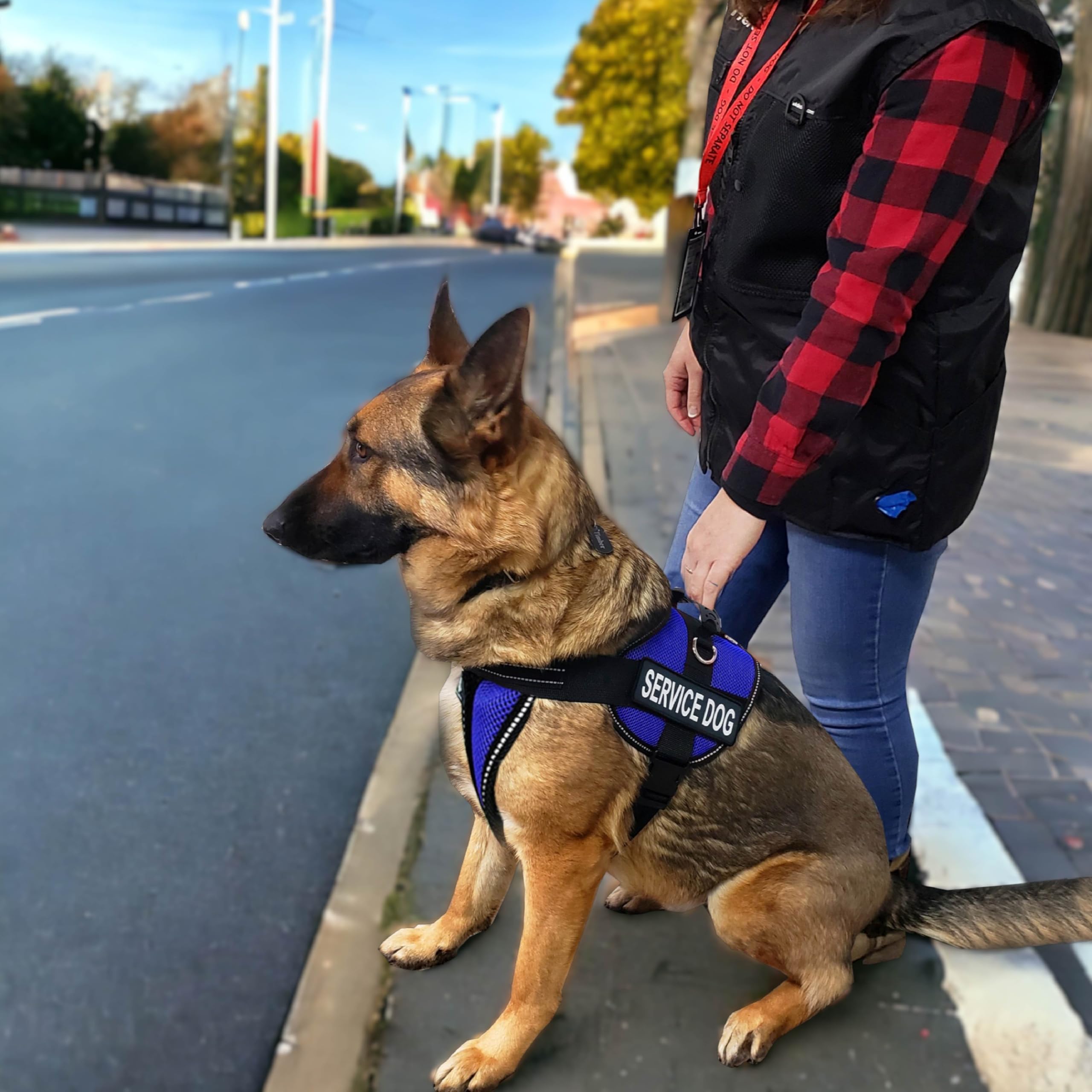 ActiveDogs Small Blue Service Dog Vest Harness with Handle - Complete ADA Compliant Kit Includes ID Holder, Medical Alert Keychain, Leash & Patches - Perfect for Therapy Dogs, Emotional Support Animals & Public Access Training