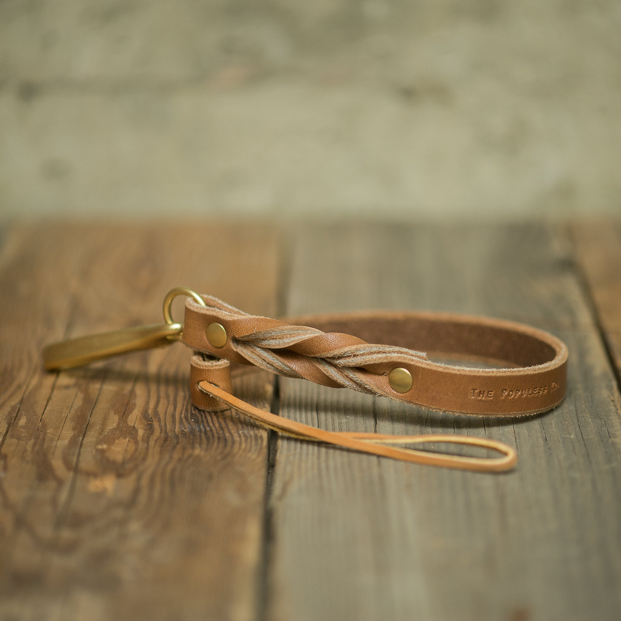 Arlo Tether Rio Latigo - Durable Dog Leash for Training & Walking | Perfect for Outdoor Adventures & Daily Walks