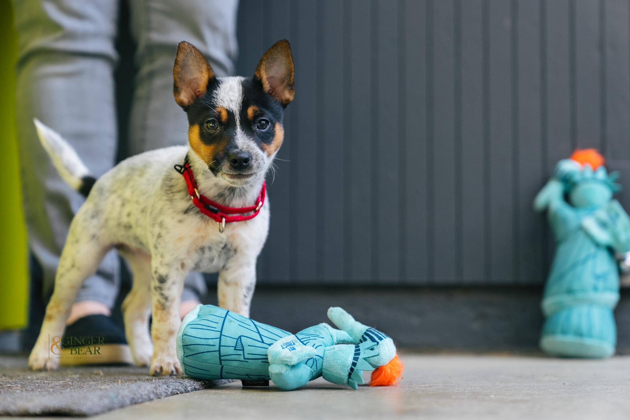 P.L.A.Y. Totally Touristy Squeaky Plush Dog Toy - Statue of Liberty Design | Fun Chew Toy for Small & Medium Dogs | Perfect for Travel & Patriotic Playtime