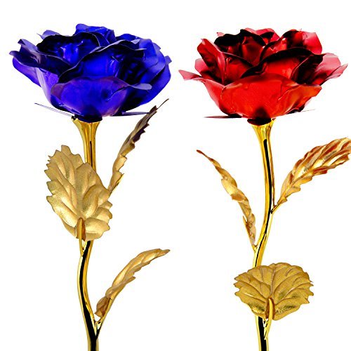24K Gold Rose Gift Set - 2pcs Red & Blue Roses for Women, Mom, Wife - Perfect for Birthday, Anniversary, Valentine's Day & Christmas - Romantic Home Decor & Special Occasion Present