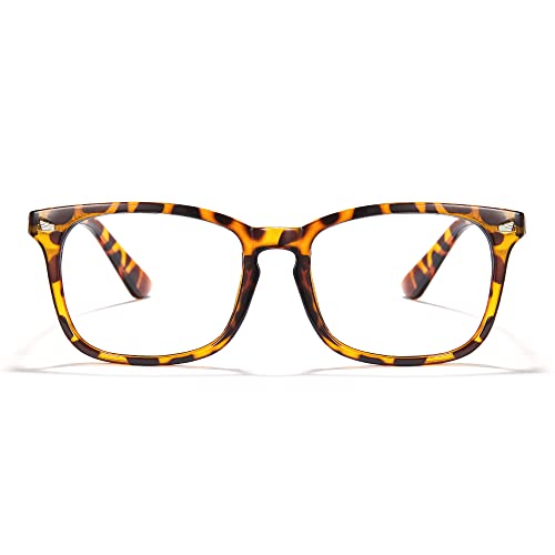 23-tortoiseshell