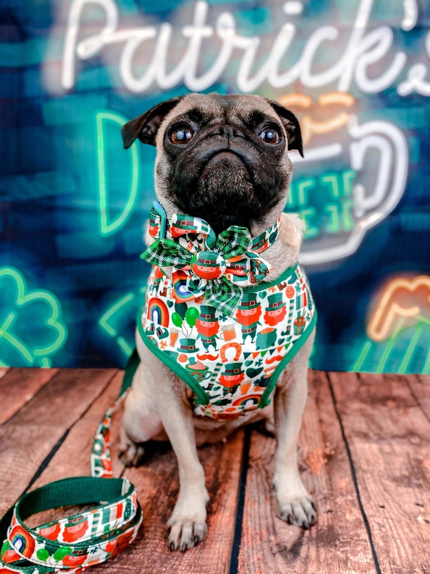 St. Patrick's Day Dog Harness - Adjustable Leprechaun Costume for Small & Medium Dogs - Perfect for St. Patrick's Day Parades & Pet Parties