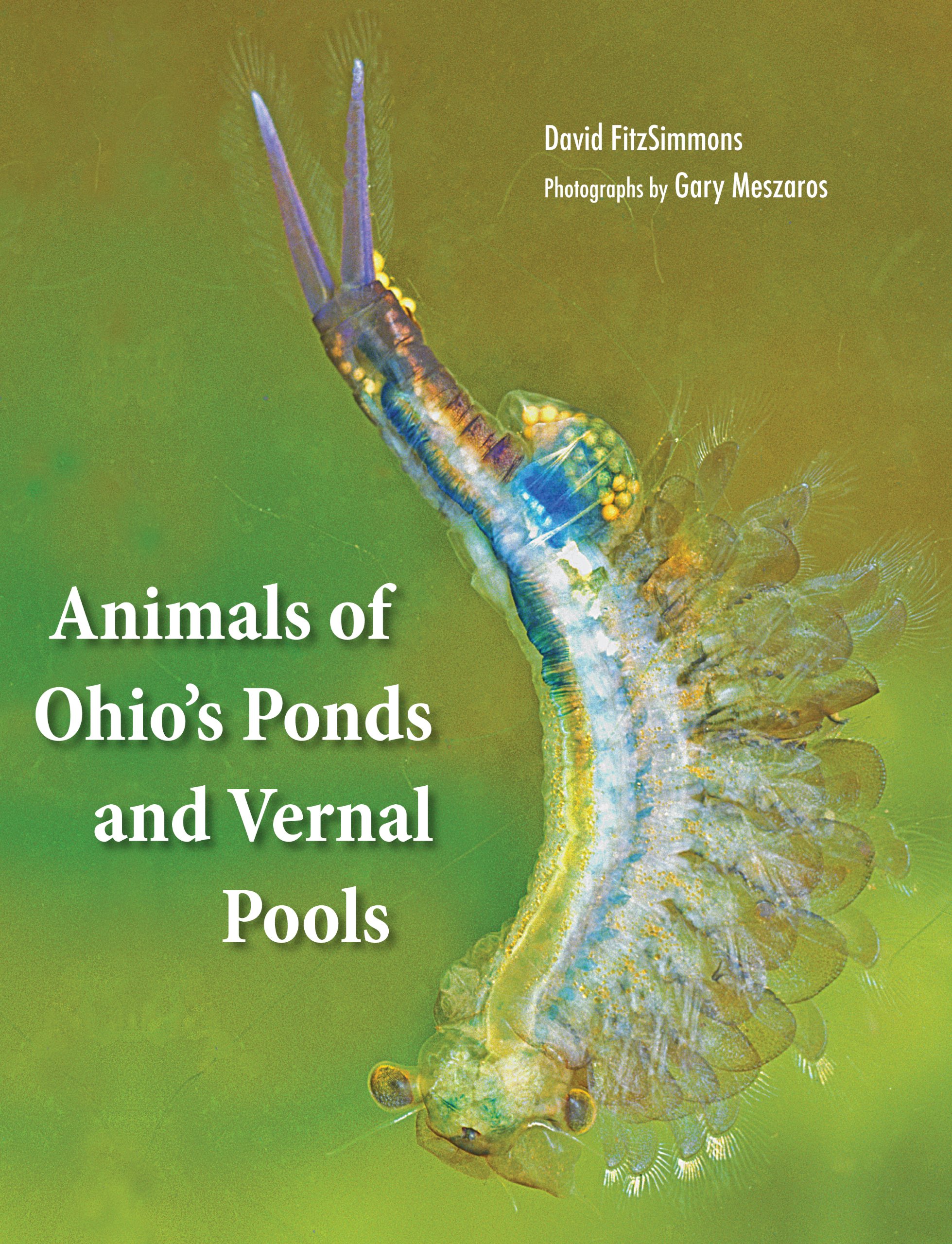 Animals of Ohio's Ponds and Vernal Pools - Wildlife Guide for Nature Enthusiasts & Outdoor Education | Perfect for Birdwatching, Hiking, and Classroom Learning