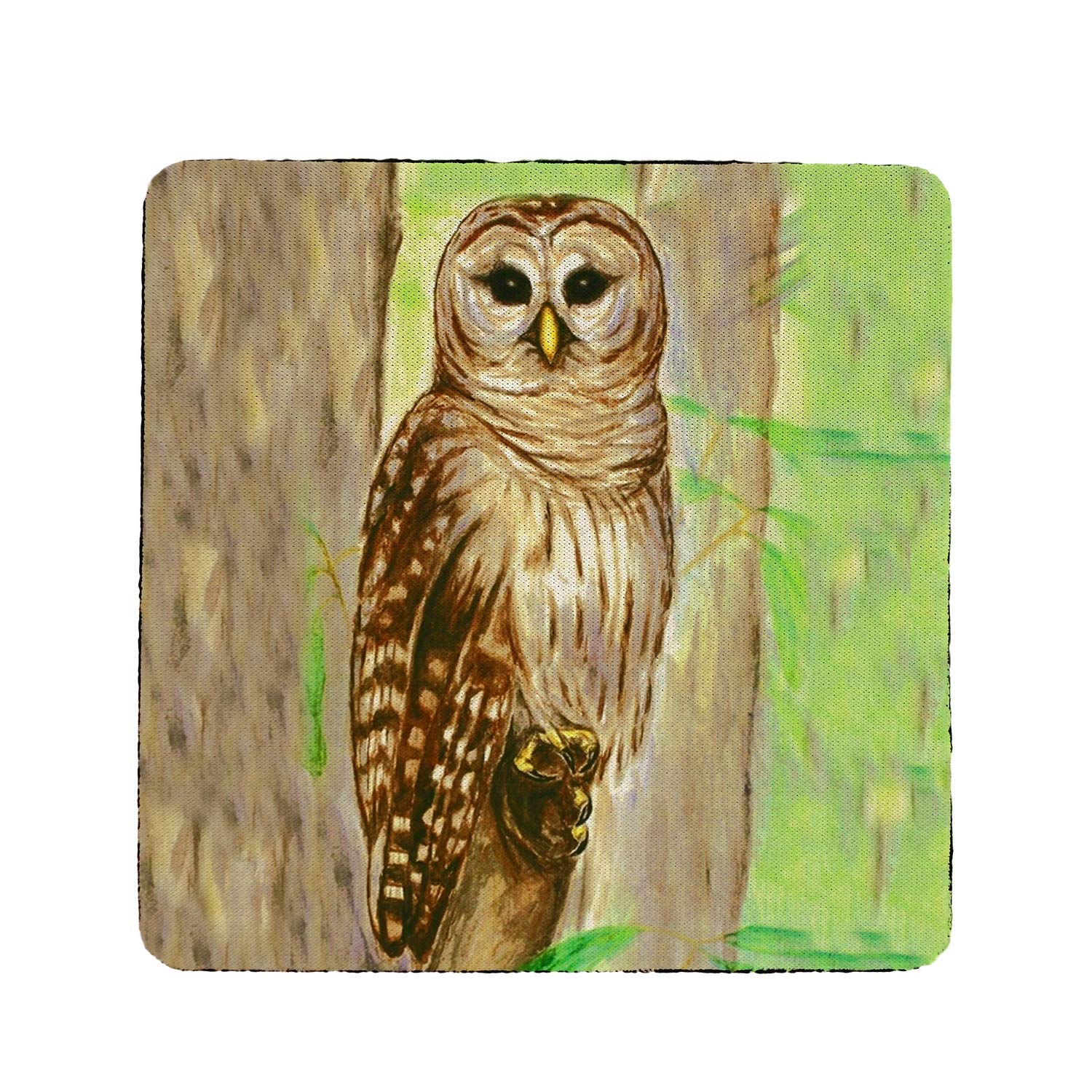 Betsy Drake Owl Coaster Set of 4 - Absorbent Ceramic Coasters for Coffee & Wine - Perfect for Home Decor, Office, and Gifts