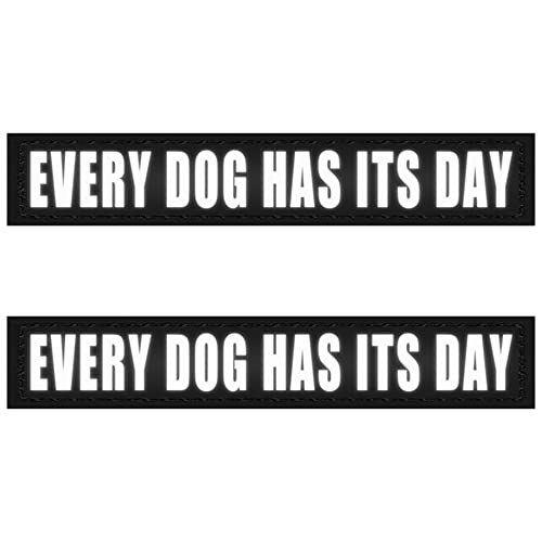 Every Dog Has Its Day (2 Pack Black)