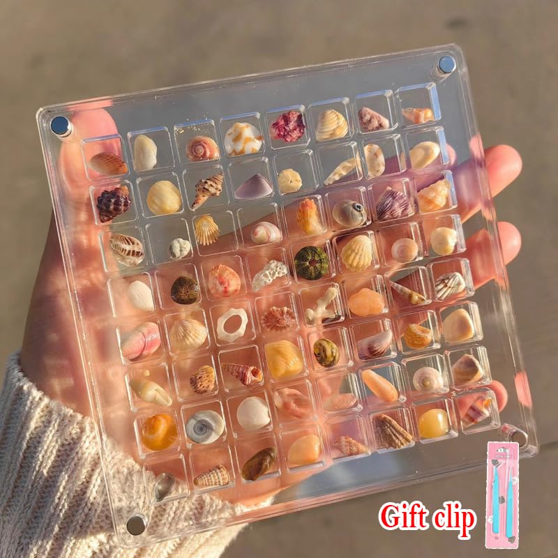 Acrylic Magnetic Seashell Display Box - 64 Grid Transparent Collectible Storage Case for Shells, Starfish & DIY Crafts | Perfect for Beach Decor, Home Display & Gift Organization